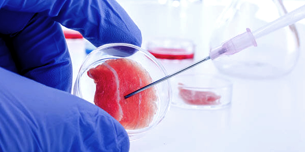 Hair StemCells
