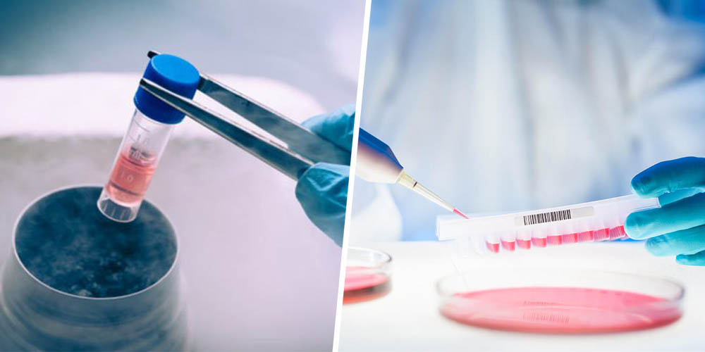 HOW DOES STEM CELL TREATMENT WORK